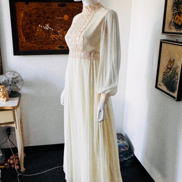 Antique Prairie Prom Dress Crocheted Lace Trim - Picture 8 of 12